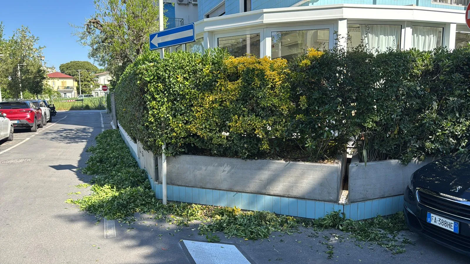 Giardinaggio - Buran Multiservizi