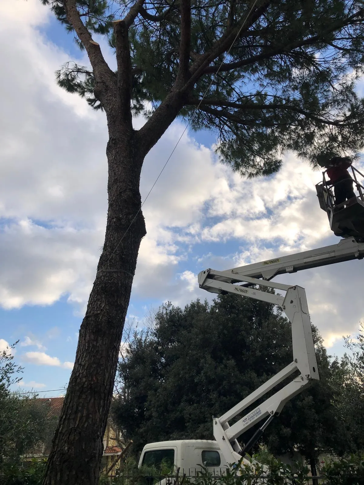 Giardinaggio - Buran Multiservizi