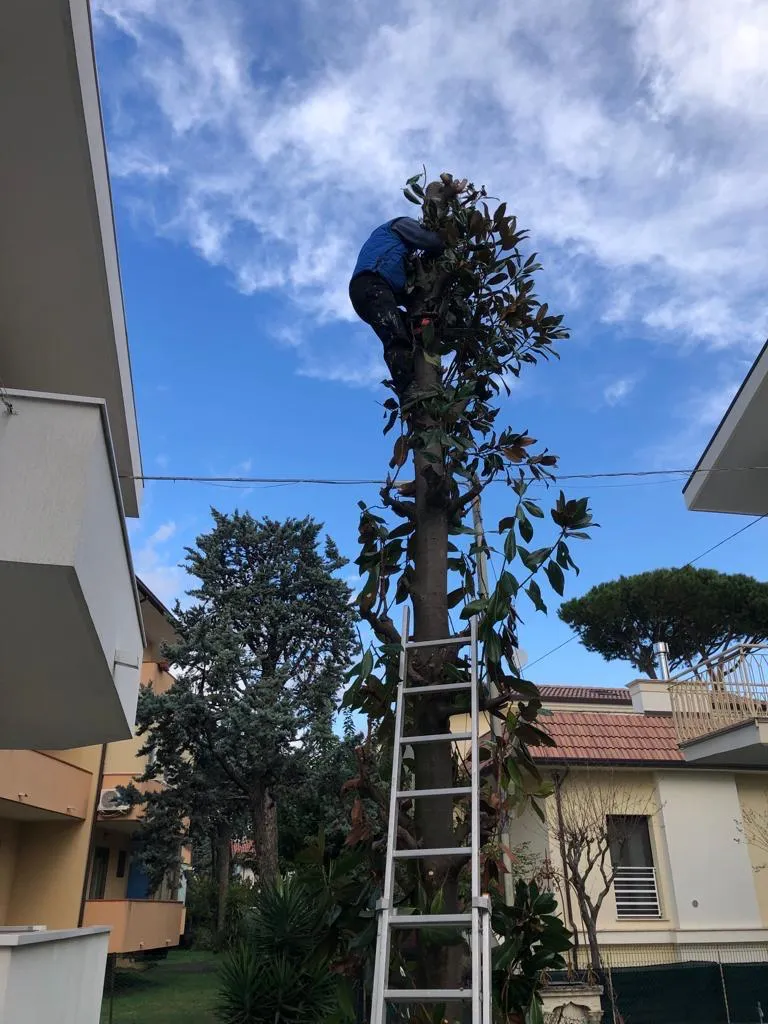 Giardinaggio - Buran Multiservizi