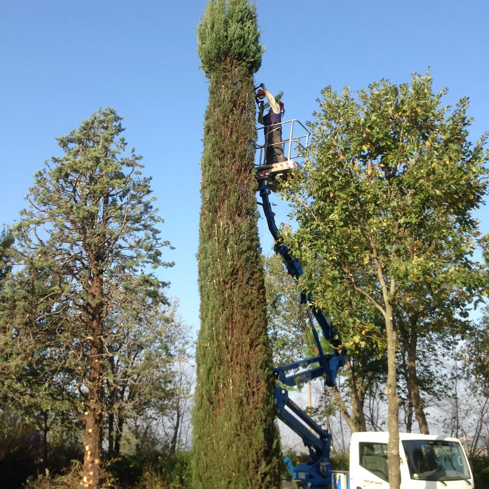 Giardinaggio - Buran Multiservizi